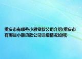 重慶市有哪些小額貸款公司介紹(重慶市有哪些小額貸款公司詳細情況如何)