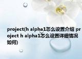 project(h alpha1怎么設置介紹 project h alpha1怎么設置詳細情況如何)