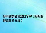好聽的群名簡(jiǎn)短四個(gè)字（好聽的群名簡(jiǎn)介介紹）
