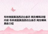 布林肯就佩洛西訪臺(tái)表態(tài) 網(wǎng)友嘲諷詳細(xì)內(nèi)容 布林肯就佩洛西訪臺(tái)表態(tài) 網(wǎng)友嘲諷具體介紹