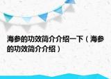 海參的功效簡(jiǎn)介介紹一下（海參的功效簡(jiǎn)介介紹）