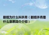 劇組為什么叫殺青（劇組殺青是什么意思簡介介紹）