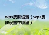 wps皮膚設(shè)置（wps皮膚設(shè)置在哪里）