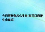 今日更新魚怎么生魚(魚可以直接生小魚嗎)