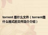 torrent 是什么文件（torrent是什么格式的文件簡介介紹）