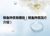 鯨魚種類有哪些（鯨魚種類簡介介紹）