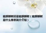 蚍蜉撼樹還是蚍蜉撼樹（蚍蜉撼樹是什么意思簡介介紹）