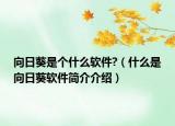 向日葵是個什么軟件?（什么是向日葵軟件簡介介紹）