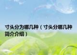 寸頭分為哪幾種（寸頭分哪幾種簡(jiǎn)介介紹）