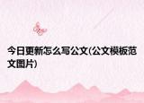 今日更新怎么寫公文(公文模板范文圖片)