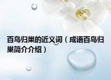 百鳥歸巢的近義詞（成語百鳥歸巢簡介介紹）