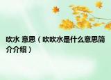 吹水 意思（吹吹水是什么意思簡介介紹）