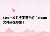 steam文件夾不是空的（steam文件夾在哪里）