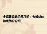 金蟾是蟾蜍的品種嗎（金蟾蜍的特點(diǎn)簡(jiǎn)介介紹）
