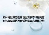 布林肯就佩洛西竄訪臺(tái)灣表態(tài)詳細(xì)內(nèi)容 布林肯就佩洛西竄訪臺(tái)灣表態(tài)具體介紹