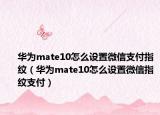 華為mate10怎么設(shè)置微信支付指紋（華為mate10怎么設(shè)置微信指紋支付）