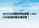 vivox21權限管理在哪里（vivox21i應用權限在哪設置）