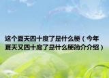 這個夏天四十度了是什么梗（今年夏天又四十度了是什么梗簡介介紹）