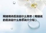 網(wǎng)絡用語后浪是什么意思（網(wǎng)絡說的后浪是什么意思簡介介紹）