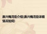 嘉興梅灣街介紹(嘉興梅灣街詳細(xì)情況如何)