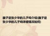 巍子是張少華的兒子嗎介紹(巍子是張少華的兒子嗎詳細(xì)情況如何)