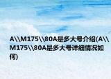 A\M175\80A是多大號介紹(A\M175\80A是多大號詳細(xì)情況如何)