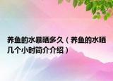 養(yǎng)魚的水暴曬多久（養(yǎng)魚的水曬幾個(gè)小時(shí)簡(jiǎn)介介紹）