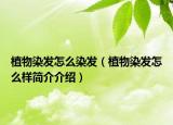 植物染發(fā)怎么染發(fā)（植物染發(fā)怎么樣簡(jiǎn)介介紹）