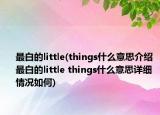 最白的little(things什么意思介紹 最白的little things什么意思詳細(xì)情況如何)