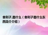 舍利子,是什么（舍利子是什么東西簡介介紹）