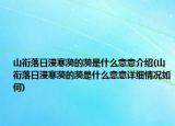 山銜落日浸寒漪的漪是什么意意介紹(山銜落日浸寒漪的漪是什么意意詳細情況如何)