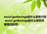 social(gatherings是什么意思介紹 social gatherings是什么意思詳細情況如何)