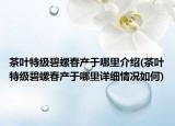 茶葉特級(jí)碧螺春產(chǎn)于哪里介紹(茶葉特級(jí)碧螺春產(chǎn)于哪里詳細(xì)情況如何)