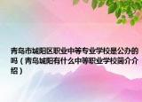 青島市城陽區(qū)職業(yè)中等專業(yè)學(xué)校是公辦的嗎（青島城陽有什么中等職業(yè)學(xué)校簡介介紹）