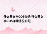 什么是文字COS介紹(什么是文字COS詳細情況如何)