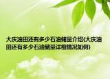 大慶油田還有多少石油儲量介紹(大慶油田還有多少石油儲量詳細(xì)情況如何)