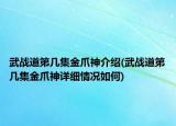 武戰(zhàn)道第幾集金爪神介紹(武戰(zhàn)道第幾集金爪神詳細(xì)情況如何)