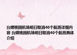 臺媒桃園機場明日取消40個航班詳細內(nèi)容 臺媒桃園機場明日取消40個航班具體介紹