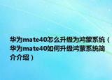 華為mate40怎么升級為鴻蒙系統(tǒng)（華為mate40如何升級鴻蒙系統(tǒng)簡介介紹）