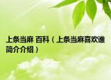 上條當麻 百科（上條當麻喜歡誰簡介介紹）