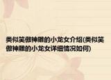 類似笑傲神雕的小龍女介紹(類似笑傲神雕的小龍女詳細情況如何)