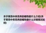 殺手萊昂中來昂養(yǎng)的植物是什么介紹(殺手萊昂中來昂養(yǎng)的植物是什么詳細(xì)情況如何)