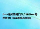 tisur是秘魯港口么介紹(tisur是秘魯港口么詳細(xì)情況如何)