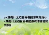 pc端有什么適合養(yǎng)老的游戲介紹(pc端有什么適合養(yǎng)老的游戲詳細(xì)情況如何)