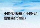 小時代4梗概（小時代4劇情簡介介紹）