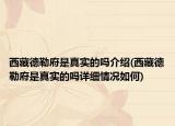 西藏德勒府是真實的嗎介紹(西藏德勒府是真實的嗎詳細(xì)情況如何)