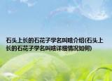 石頭上長的石花子學(xué)名叫啥介紹(石頭上長的石花子學(xué)名叫啥詳細(xì)情況如何)