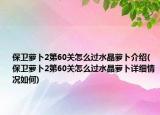 保衛(wèi)蘿卜2第60關怎么過水晶蘿卜介紹(保衛(wèi)蘿卜2第60關怎么過水晶蘿卜詳細情況如何)