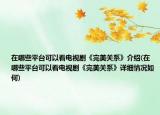 在哪些平臺可以看電視劇《完美關(guān)系》介紹(在哪些平臺可以看電視劇《完美關(guān)系》詳細(xì)情況如何)