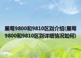 黑莓9800和9810區(qū)別介紹(黑莓9800和9810區(qū)別詳細(xì)情況如何)